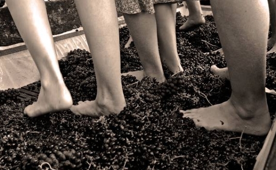 I palmenti brindisini tempio di bacco