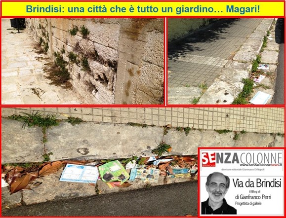 Brindisi: una città che è tutto un giardino… Magari! (Blog del 11 giugno 2016)